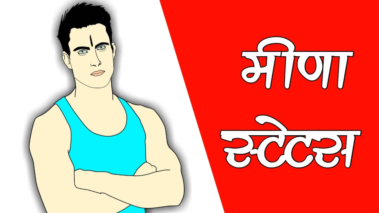 meena status